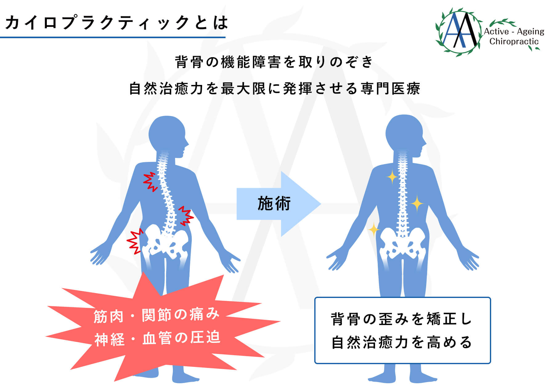 カイロプラクティック – アクティブエイジング カイロプラクティック